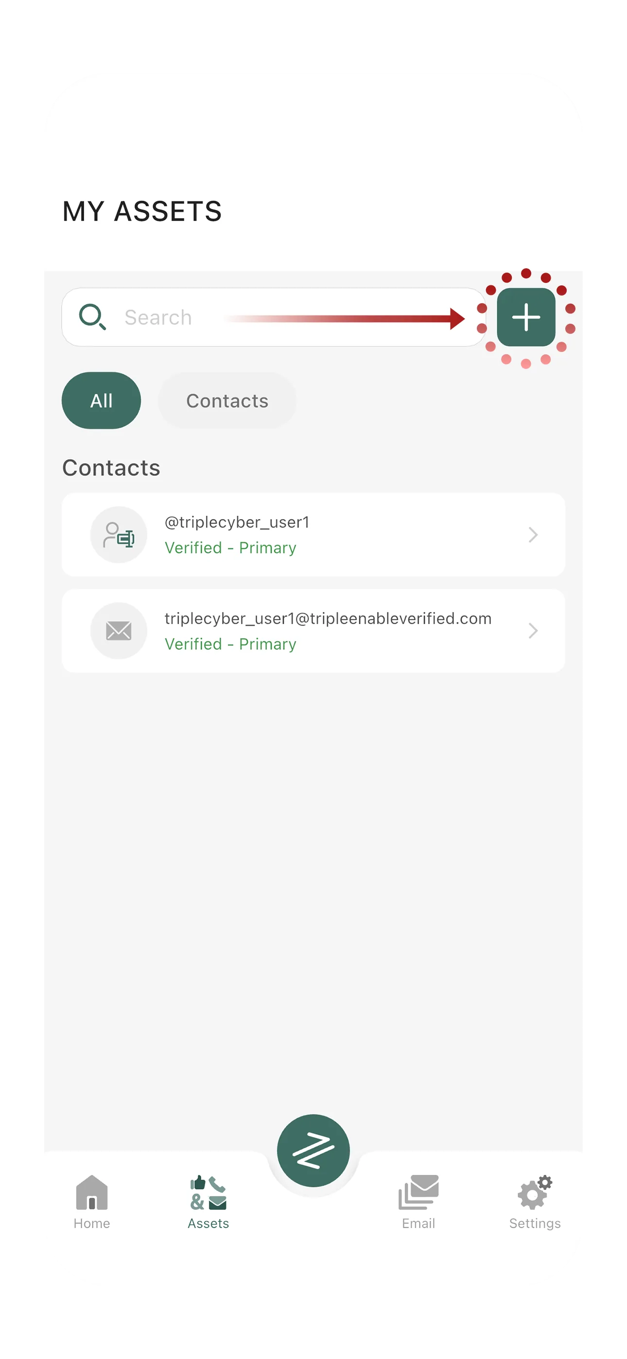 Add Asset button