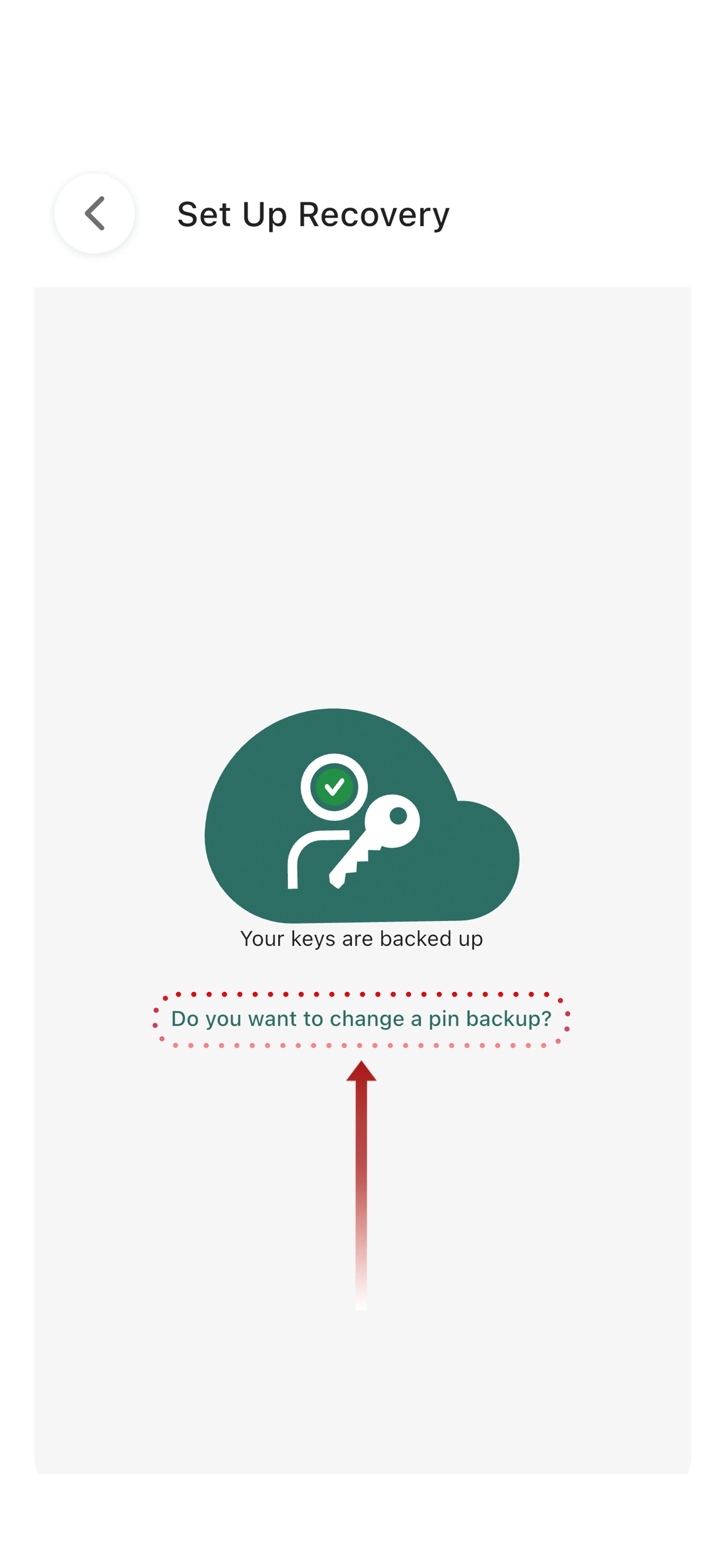 Backup recovery phrase step 2
