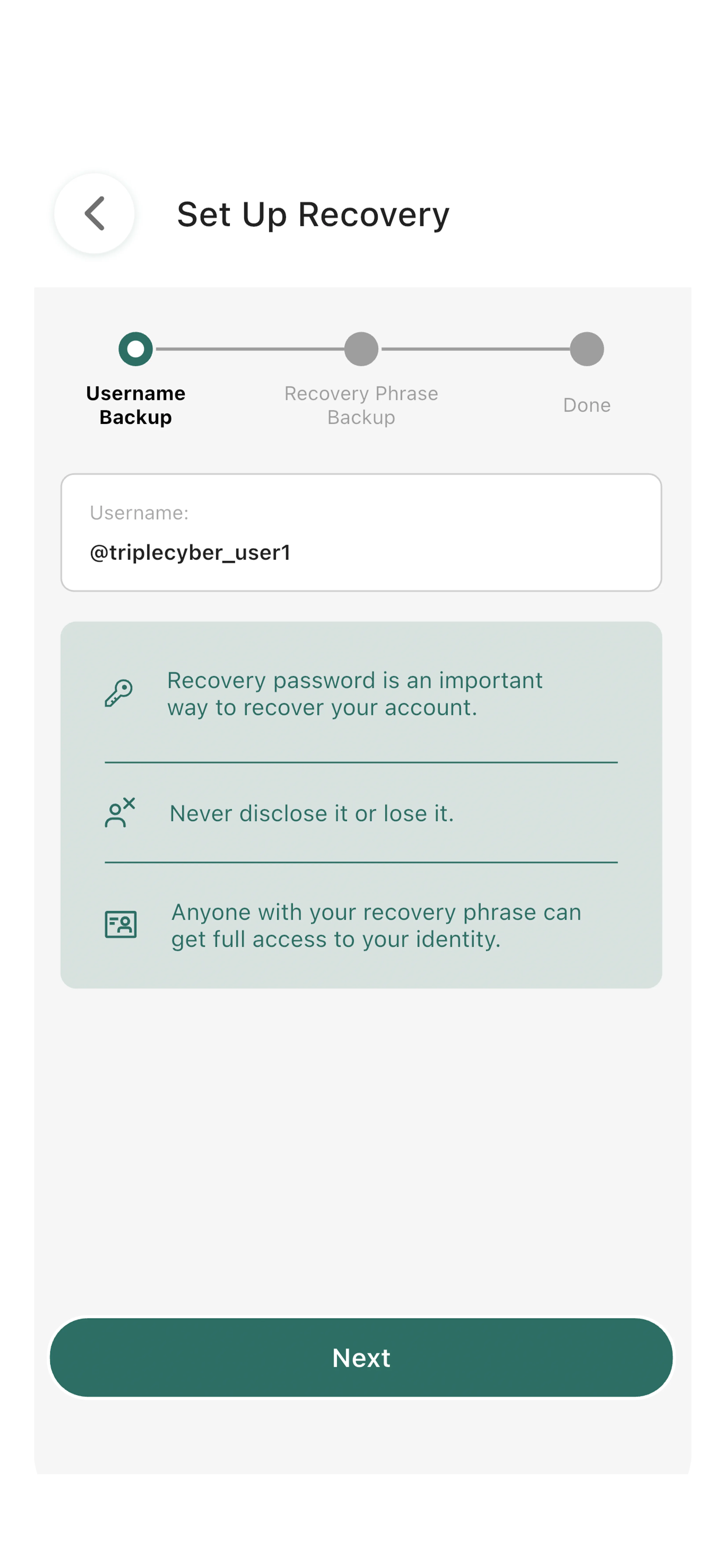 Backup recovery phrase step 3